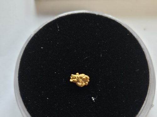 20260326_112050 Schweizer Goldnugget 0.08 Gramm Tscharbach Obersaxen Graubünden