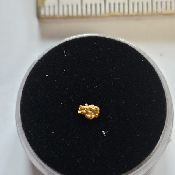 Schweizer Goldnugget 0.08 Gramm Tscharbach Obersaxen Graubünden