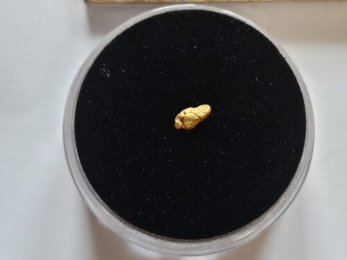 20260326_112125 Schweizer Goldnugget 0.1 Gramm Tscharbach Obersaxen Graubünden