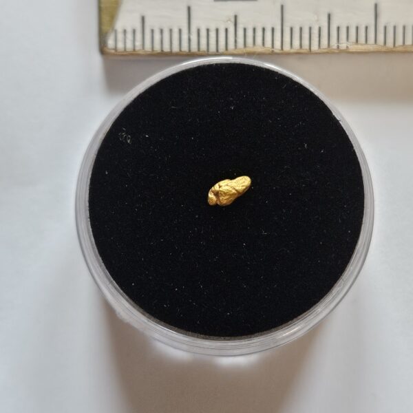 Schweizer Goldnugget 0.1 Gramm Tscharbach Obersaxen Graubünden