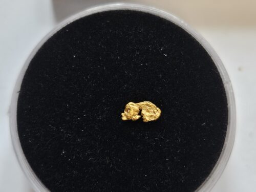 20260326_112158 Schweizer Goldnugget 0.06 Gramm Tscharbach Obersaxen Graubünden