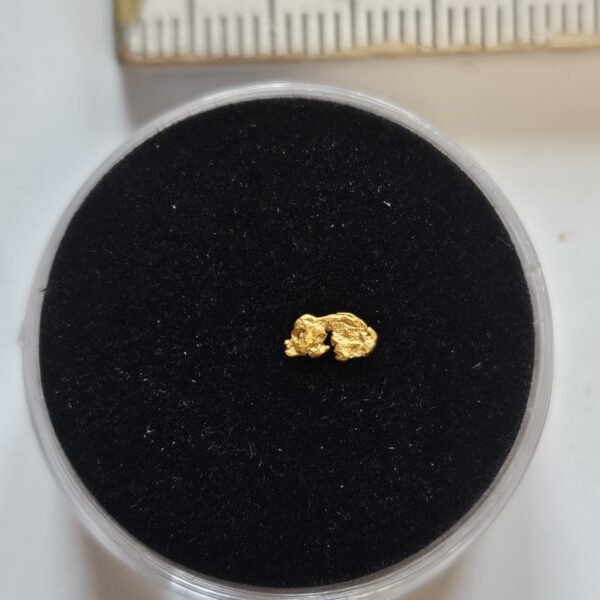 Schweizer Goldnugget 0.06 Gramm Tscharbach Obersaxen Graubünden