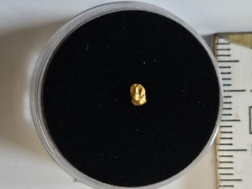 20260326_112229 Schweizer Goldnugget 0.1 Gramm Tscharbach Obersaxen Graubünden