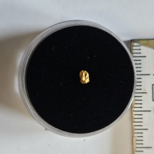 Schweizer Goldnugget 0.1 Gramm Tscharbach Obersaxen Graubünden