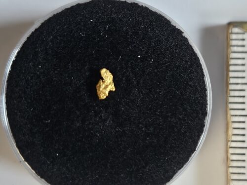 20260326_112315 Schweizer Goldnugget 0.05 Gramm Tscharbach Obersaxen Graubünden