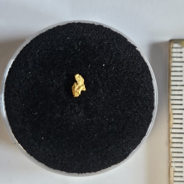 Schweizer Goldnugget 0.05 Gramm Tscharbach Obersaxen Graubünden