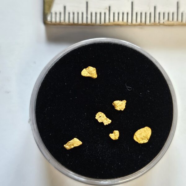 kleine Schweizer Goldflitter 0.1 Gramm gr. Fontanne Napf/LU