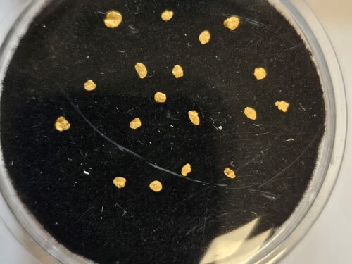 20260326_113751 Kleine Schweizer Goldflitter ca.1mm aus dem Rhein Region ZH (Beispielbild)