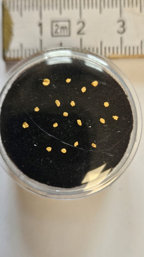 Kleine Schweizer Goldflitter ca.1mm aus dem Rhein Region ZH (Beispielbild)