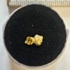 Sehr schöne Schweizer Goldstufe mit Bleiglanz und Quarz Kristallin 0.26 Gramm Region Vorderrhein