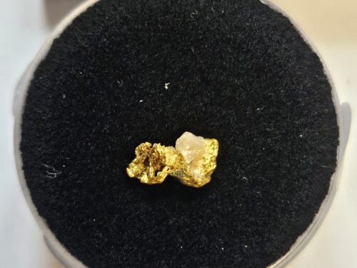 20260326_113904 Sehr schöne Schweizer Goldstufe mit Bleiglanz und Quarz Kristallin 0.26 Gramm Region Vorderrhein