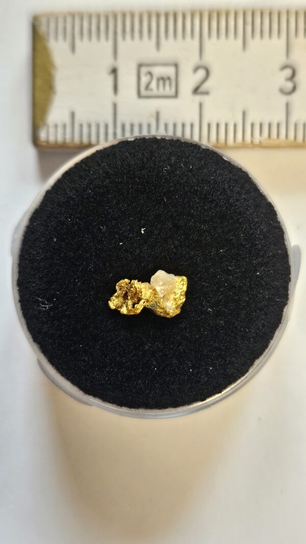 Sehr schöne Schweizer Goldstufe mit Bleiglanz und Quarz Kristallin 0.26 Gramm Region Vorderrhein