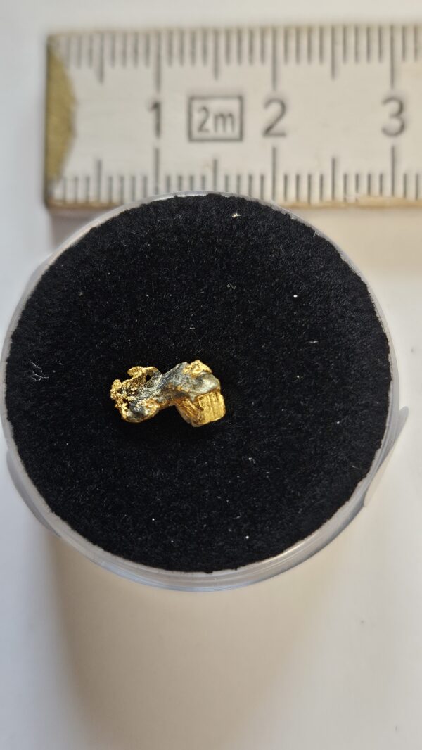 Sehr schöne Schweizer Goldstufe mit Bleiglanz und Quarz Kristallin 0.26 Gramm Region Vorderrhein