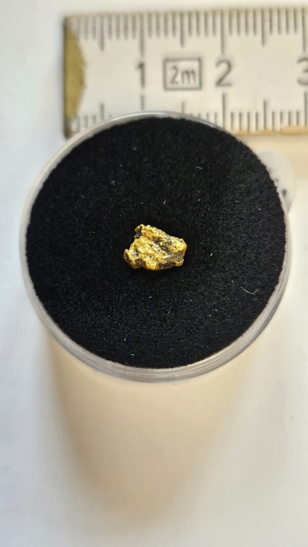 Sehr schöne Schweizer Goldstufe mit Bleiglanz und Quarz Kristallin 0.28 Gramm Region Vorderrhein