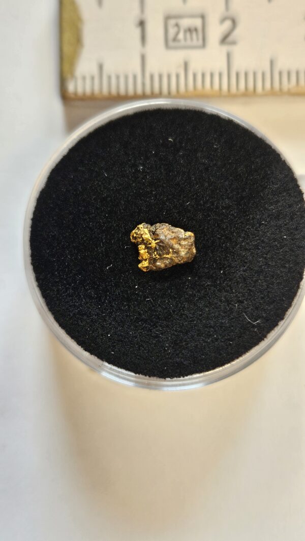 Sehr schöne Schweizer Goldstufe mit Bleiglanz und Quarz Kristallin 0.28 Gramm Region Vorderrhein