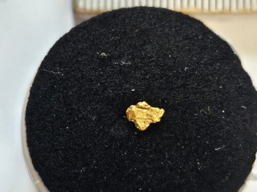 20260326_114332 Schweizer Goldnugget 0.08 Gramm Region Disentis