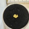 Schweizer Goldnugget/Flitter 0.04 Gramm Lukmanierschlucht bei Disentis