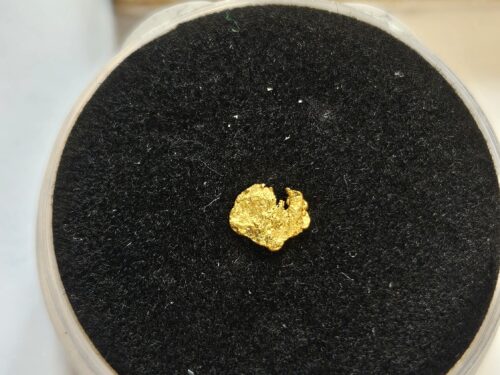 20260326_114407 Schweizer Goldnugget/Flitter 0.04 Gramm Lukmanierschlucht bei Disentis