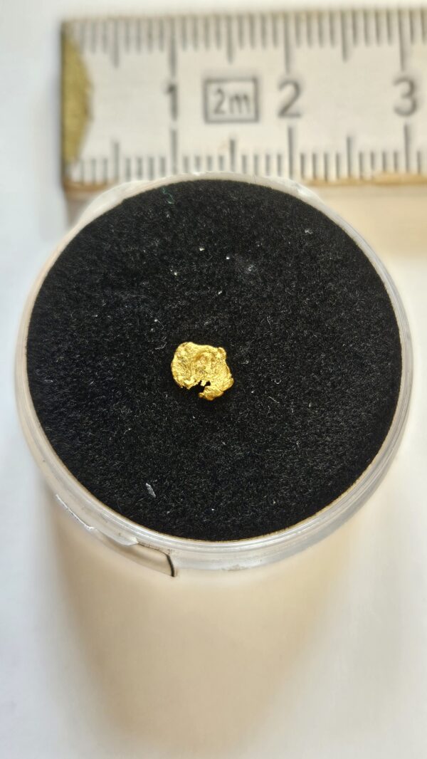 Schweizer Goldnugget/Flitter 0.04 Gramm Lukmanierschlucht bei Disentis