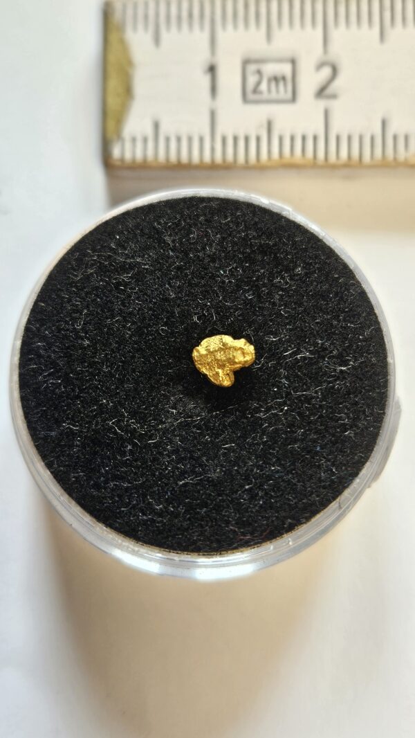 Schweizer Goldnugget 0.13 Gramm Region Disentis