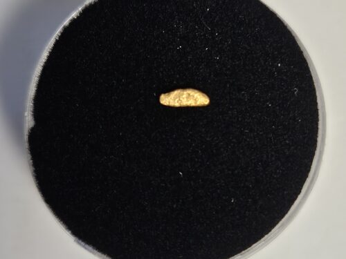 20260327_063436 Goldnugget/Flitter aus dem Wallis 0.06g