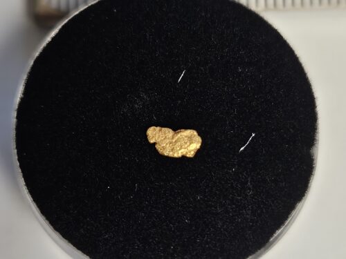 20260327_063639 Goldnugget/Flitter aus dem Wallis 0.1g