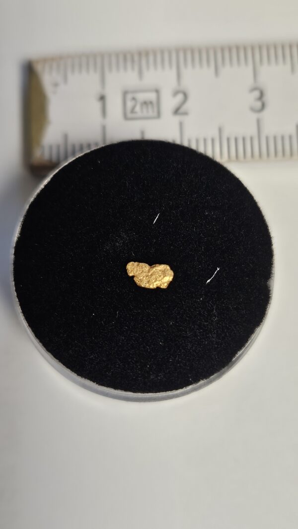 Goldnugget/Flitter aus dem Wallis 0.1g