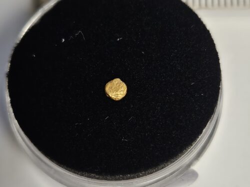 20260327_063726 Goldnugget/Flitter aus dem Wallis 0.09g