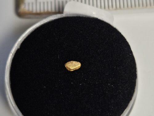 20260327_063901 Goldnugget/Flitter aus dem Wallis 0.09g
