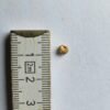 Goldnugget aus dem Wallis 0.33g