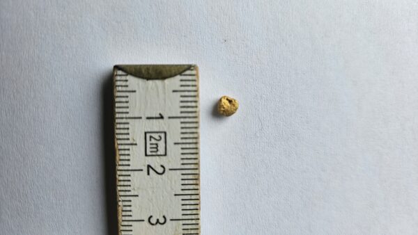 Goldnugget aus dem Wallis 0.33g