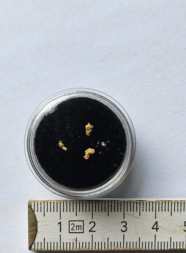 kleine Schweizer Goldnugget 0.1 Gramm Tscharbach Obersaxen Graubünden