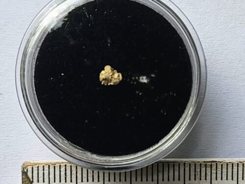 20260803_094020 Schweizer Goldstufe mit Quarz 0.1 Gramm Tscharbach Obersaxen Graubünden