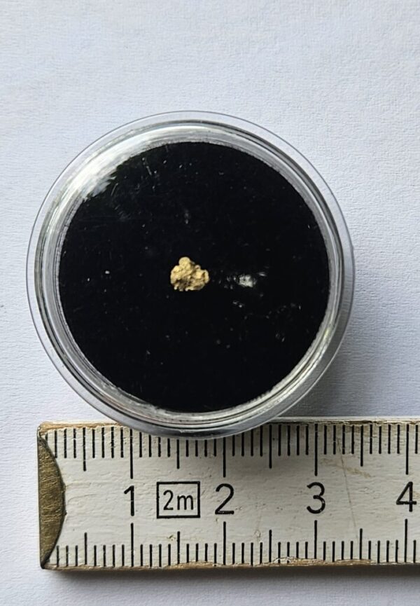 Schweizer Goldstufe mit Quarz 0.1 Gramm Tscharbach Obersaxen Graubünden