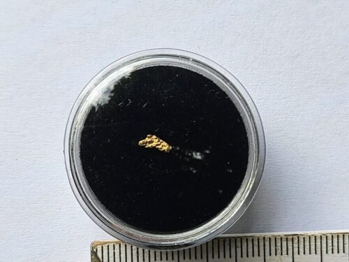 20260803_094055 Schweizer Goldnugget 0.07 Gramm Tscharbach Obersaxen Graubünden