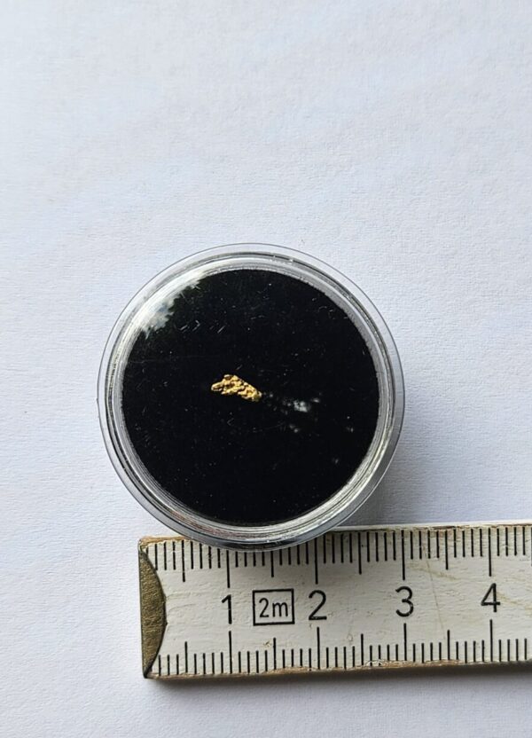 Schweizer Goldnugget 0.07 Gramm Tscharbach Obersaxen Graubünden