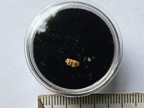 20260803_094112 Schweizer Goldnugget 0.06 Gramm Tscharbach Obersaxen Graubünden