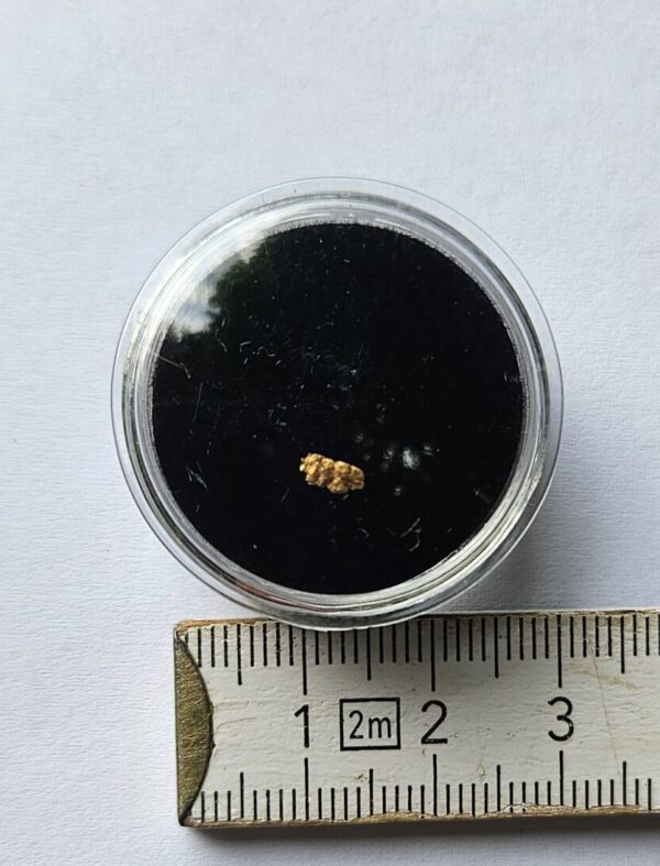 Schweizer Goldnugget 0.06 Gramm Tscharbach Obersaxen Graubünden