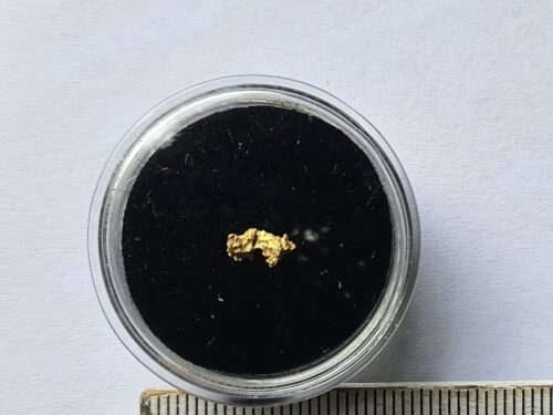 20260803_094133 Schweizer Goldnugget 0.15 Gramm Tscharbach Obersaxen Graubünden