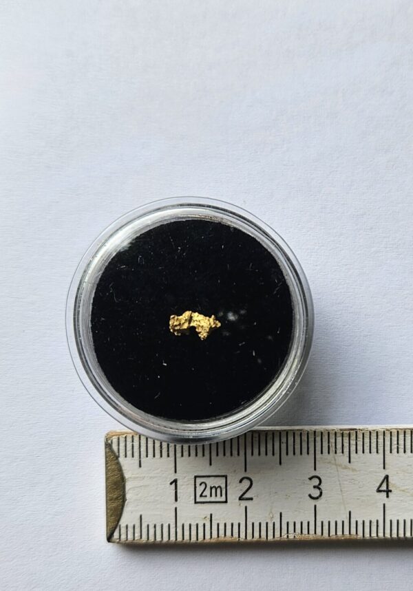Schweizer Goldnugget 0.15 Gramm Tscharbach Obersaxen Graubünden