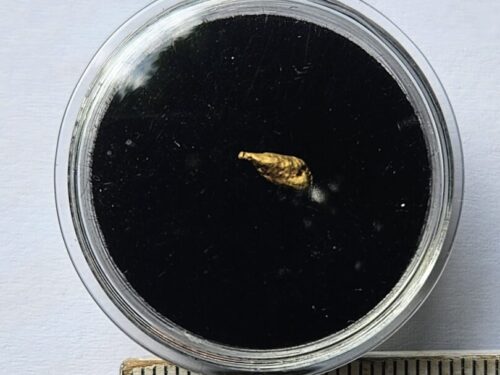Schweizer Goldnugget 0.22 Gramm Val Sumvitg