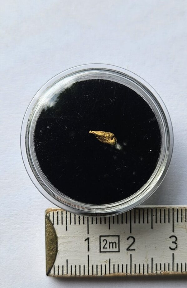 Schweizer Goldnugget 0.22 Gramm Val Sumvitg