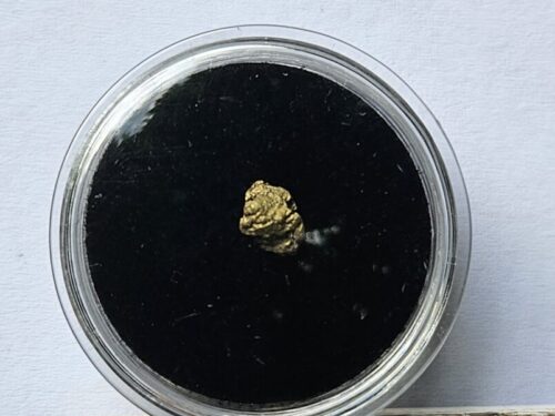Sehr schönes Schweizer Goldnugget mit Quarz 0.12 Gramm Val Sumvitg bei Disentis
