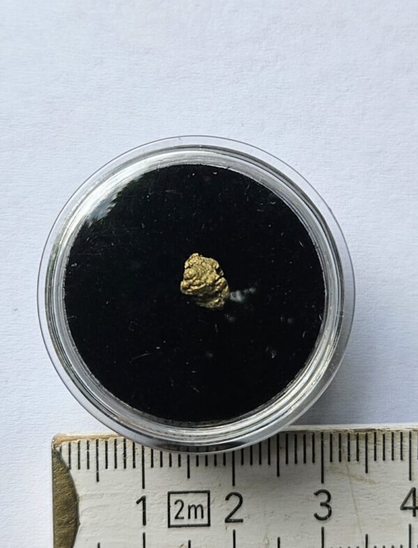 Sehr schönes Schweizer Goldnugget mit Quarz 0.12 Gramm Val Sumvitg bei Disentis