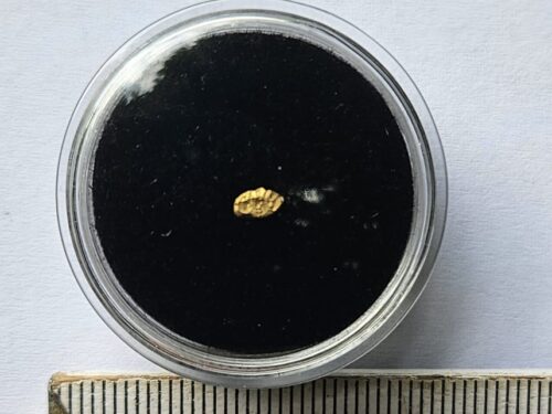 20260803_094321 Schweizer Goldnugget 0.11 Gramm Val Sumvitg b. Disentis