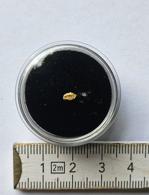 Schweizer Goldnugget 0.11 Gramm Val Sumvitg b. Disentis