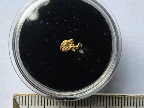 20260803_094332 Schweizer Goldnugget 0.09 Gramm Val Sumvitg b. Disentis