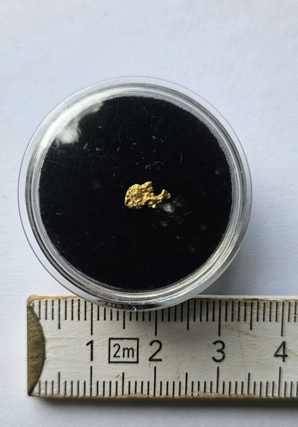 Schweizer Goldnugget 0.09 Gramm Val Sumvitg b. Disentis