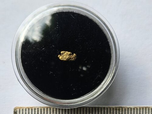 Schweizer Goldnugget 0.13 Gramm Val Sumvitg bei Disentis