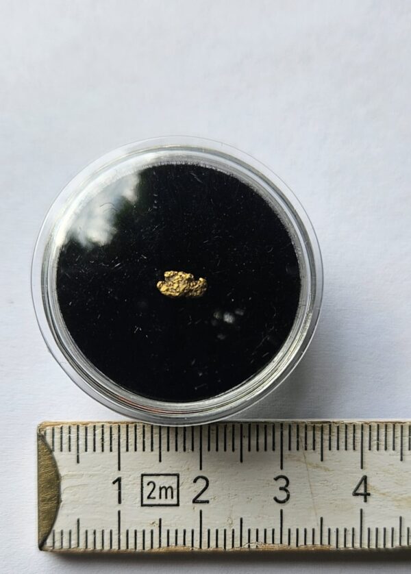 Schweizer Goldnugget 0.13 Gramm Val Sumvitg bei Disentis